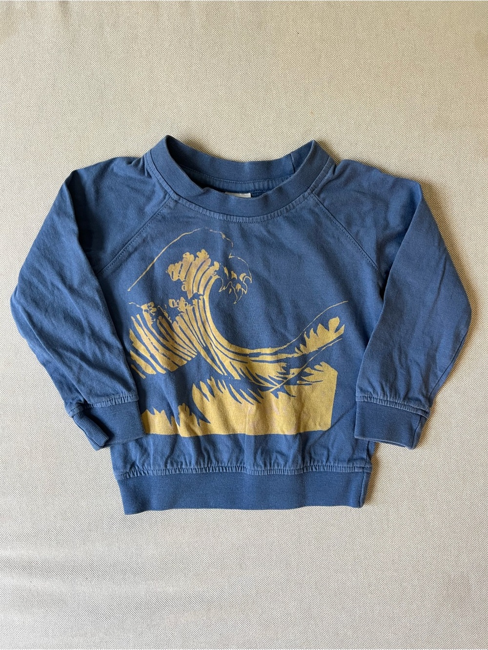 Colored Organics Navy Blue Sweatshirt with Gold Wave Print